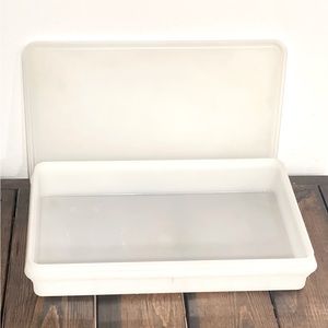 Clear Tupperware Bacon Container / Keeper